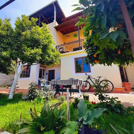 Guest House Noah&Kristel Berat Dış mekan fotoğraf