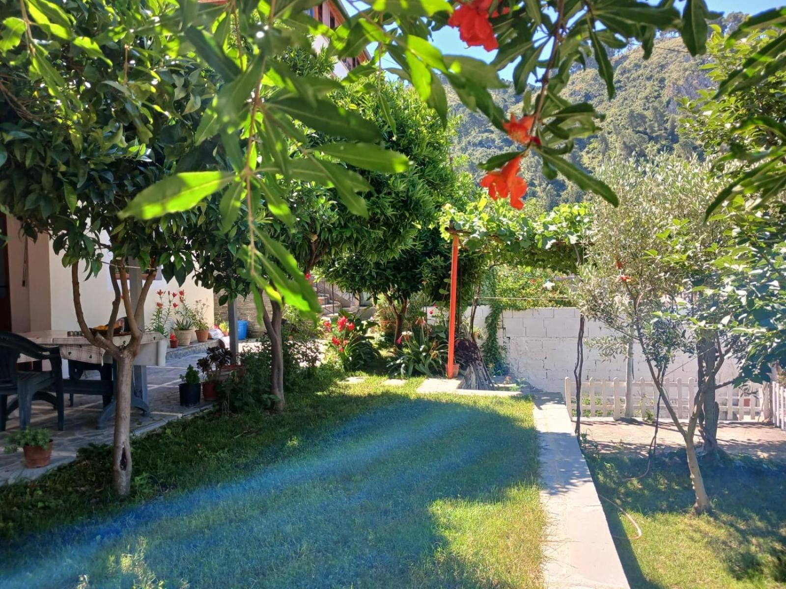 Guest House Noah&Kristel Berat Dış mekan fotoğraf