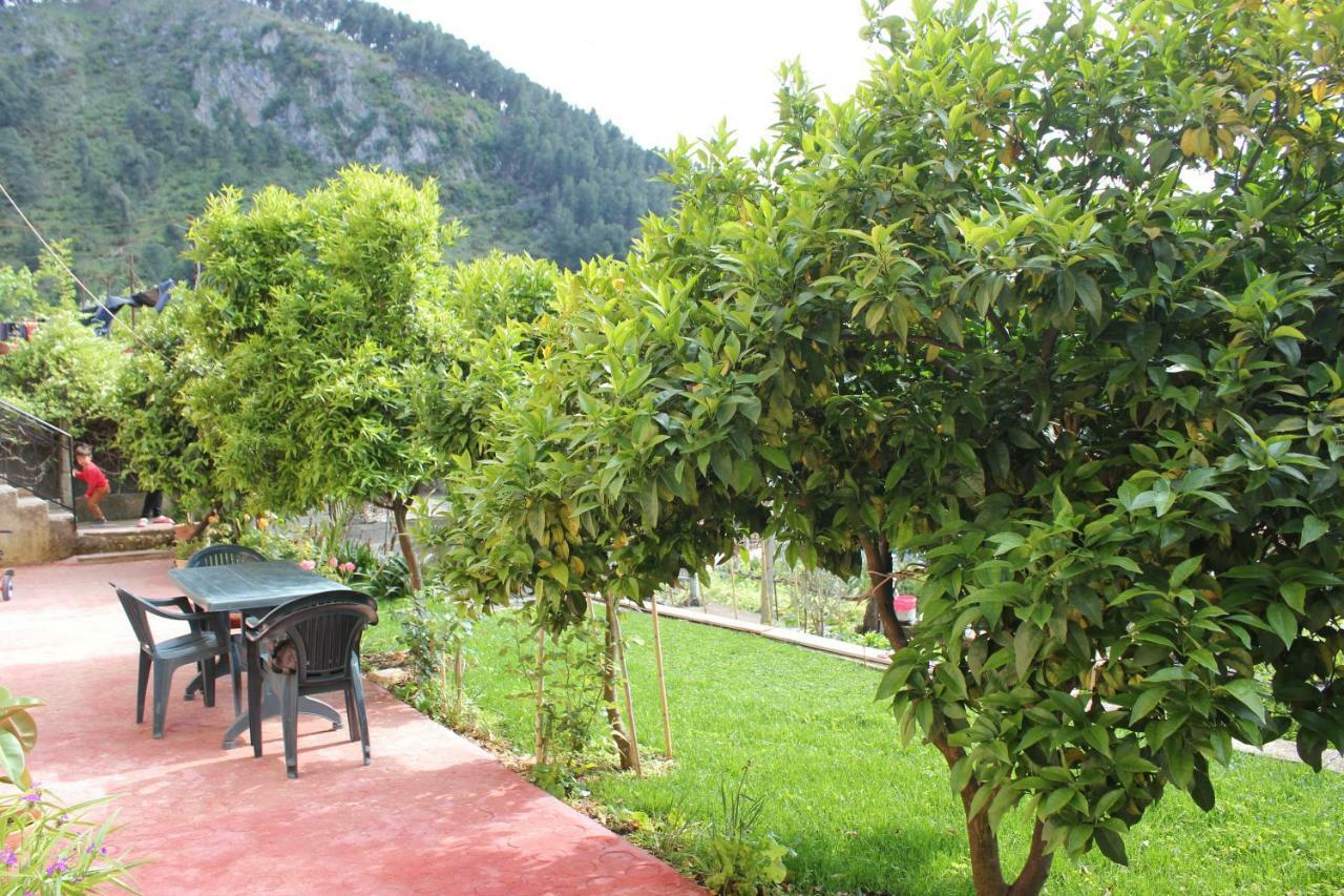 Guest House Noah&Kristel Berat Dış mekan fotoğraf